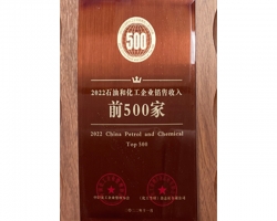 2022石油和化工企業(yè)銷售收入前500家