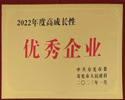 2022年度高成長(zhǎng)性優(yōu)秀企業(yè)